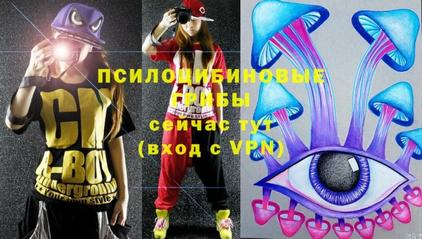 а пвп мука Куйбышев