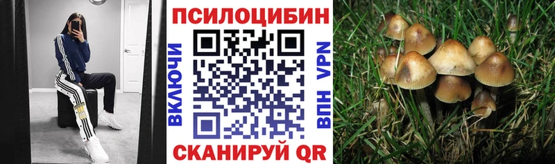 Галлюциногенные грибы GOLDEN TEACHER  Купить где  Заозёрный 